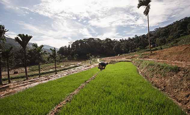 A scenic trek through a hidden hamlet - Experience - Sri Lanka In Style